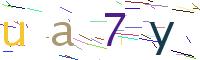 Verify Code